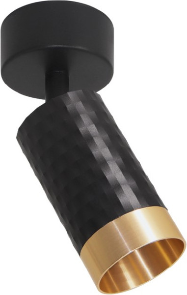 Спот Wolta WSL-GU10/S10BG