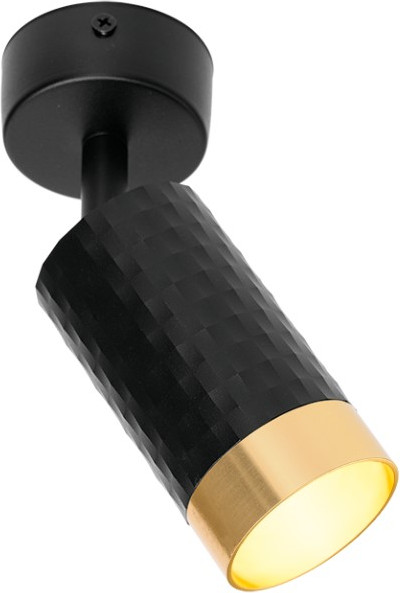 Спот Wolta WSL-GU10/S10BG