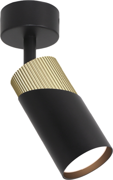 Спот Wolta WSL-GU10/S06BG - фото