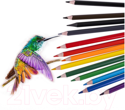 Набор цветных карандашей Brauberg 181936