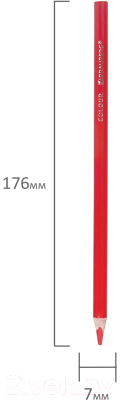 Набор цветных карандашей Brauberg 181936