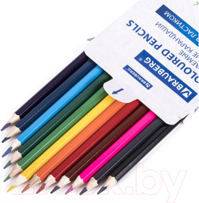 Набор цветных карандашей Brauberg Стираемые / 181932