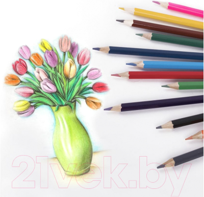 Набор цветных карандашей Brauberg Стираемые / 181932