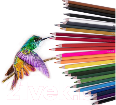 Набор цветных карандашей Brauberg 181937