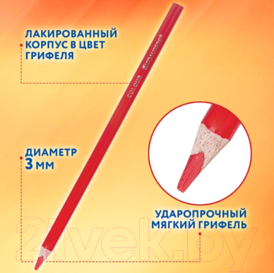 Набор цветных карандашей Brauberg 181937