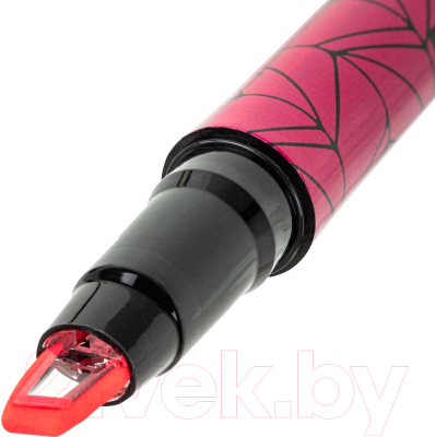 Набор маркеров Brauberg С прозрачным наконечником / 152426