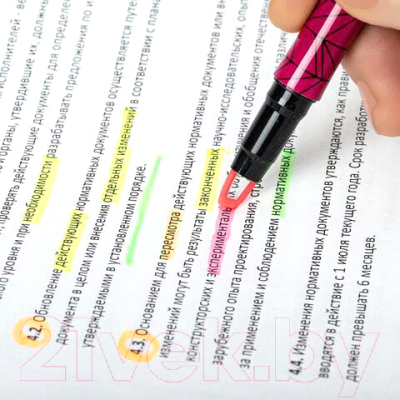 Набор маркеров Brauberg С прозрачным наконечником / 152426