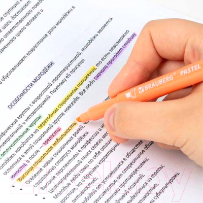 Набор маркеров Brauberg Pastel двусторонний / 152518