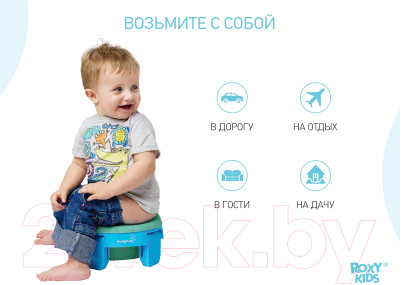 Вставка для детского горшка ROXY-KIDS ML-235RU-OL