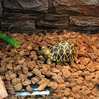 Коврик для террариума Nomoy Pet NR-03С