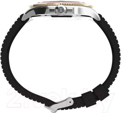 Часы наручные мужские Timex TW2V27300