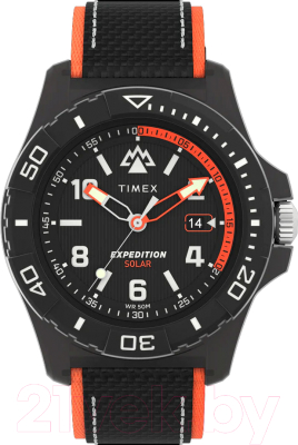 Часы наручные мужские Timex TW2V66100 - фото