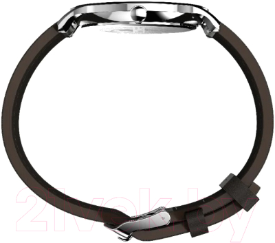 Часы наручные мужские Timex TW2W43700