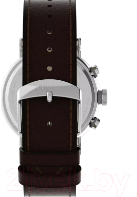 Часы наручные мужские Timex TW2W47300