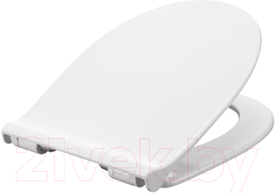 Унитаз напольный Roca Victoria 7342399000 + 734139Z000 + 801392002