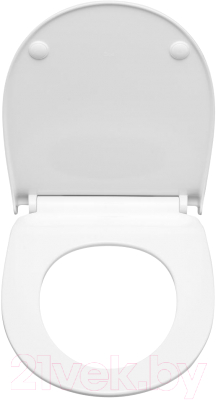 Унитаз напольный Roca Victoria 7342399000 + 734139Z000 + 801392002