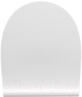 Унитаз напольный Roca Victoria 7342399000 + 734139Z000 + 801392002