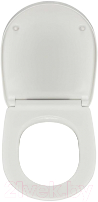 Унитаз подвесной Roca Meridian-N 7346248000 + ZRU9307606