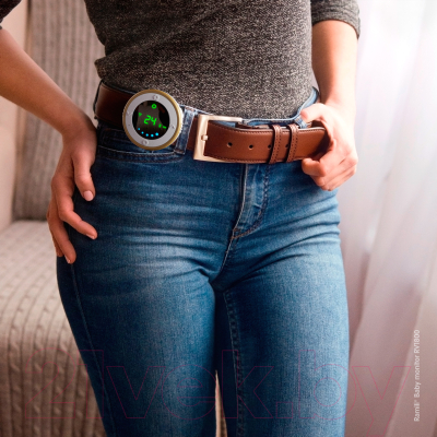 Видеоняня Ramili RV1800 