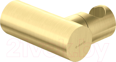 Душевой держатель Deante Round Gold ANR_R21U - фото