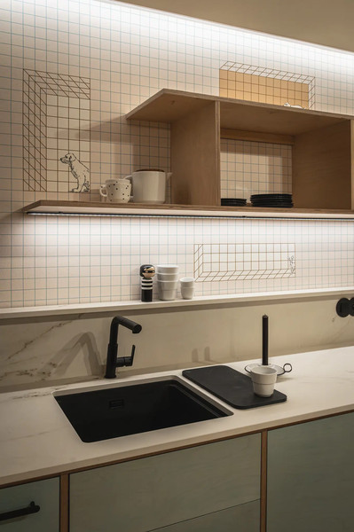 Мойка кухонная Deante Momi ZKM N10A