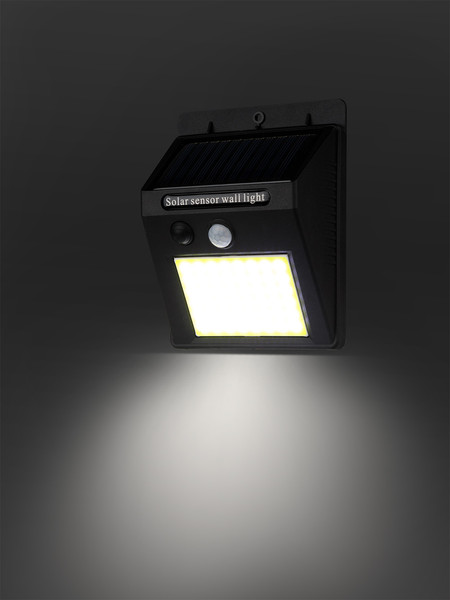 Светильник уличный TDM Феникс 1 / SQ0330-0176