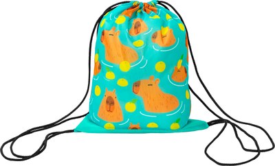 Мешок для обуви Leader Toys Капибары / МДО1 - фото