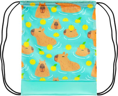 Мешок для обуви Leader Toys Капибары / МДО1