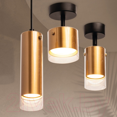 Потолочный светильник Wolta WSL-GU10/P07G