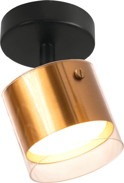 Спот Wolta WSL-GX53/S07G - фото