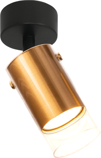 Спот Wolta WSL-GU10/S07G - фото