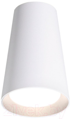 Потолочный светильник Wolta WSL-GU10/P11W - фото