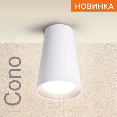 Потолочный светильник Wolta WSL-GU10/P11W