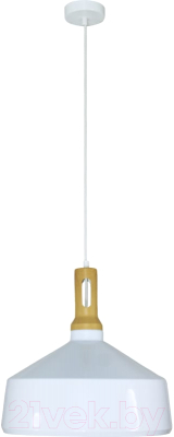 Потолочный светильник Элетех Эстет 9904 НСБ 01-60-196 / 1005405386 - фото