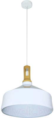 Потолочный светильник Элетех Эстет 9904 НСБ 01-60-196 / 1005405386