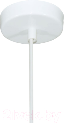 Потолочный светильник Элетех Эстет 9904 НСБ 01-60-196 / 1005405386