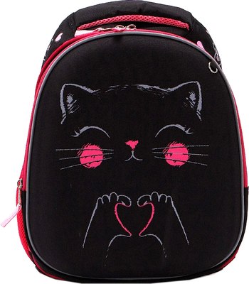 Школьный рюкзак Ecotope 306-72318-BLK - фото