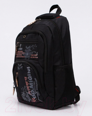 Школьная сумка Miqini 306-313-BLK