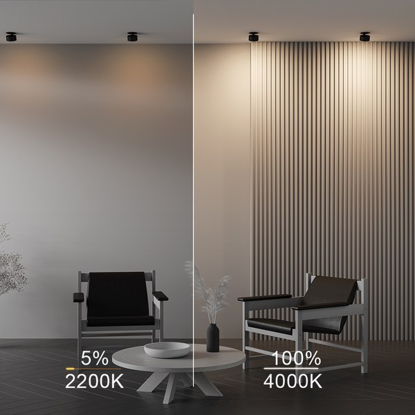 Точечный светильник Maytoni Downlight DL024-12W-DTW-B