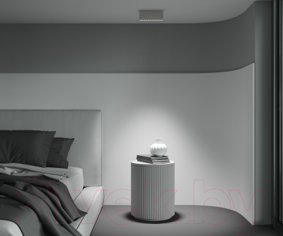 Люстра Maytoni Ceiling C136CL-12W4K-W