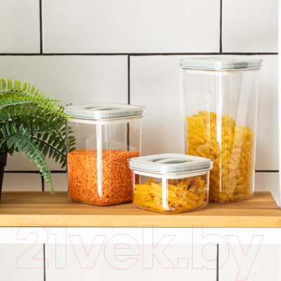 Набор емкостей для хранения Gipfel Twist 50653