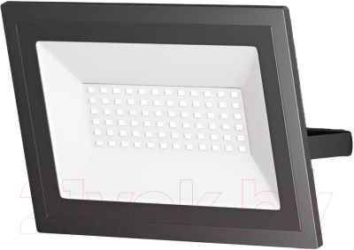 Прожектор Maytoni Flood FL001-L50B6K - фото