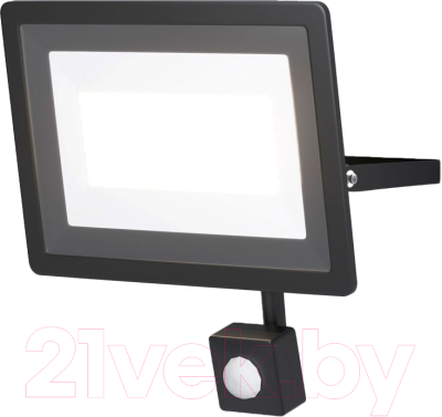 Прожектор Maytoni Flood FL001-L50B4KSR - фото