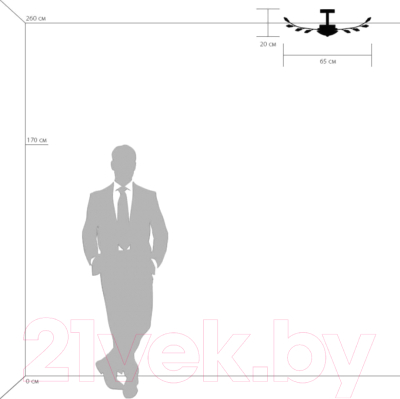Люстра Lightstar Isabelle 791184