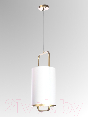 Потолочный светильник Aitin-Pro НСБ 04-40-172 / P8353/L