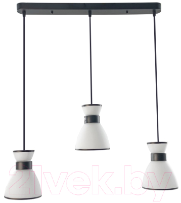 Люстра Aitin-Pro НСБ 01-3х60-101 / N5632/3H - фото