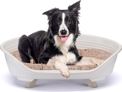 Лежанка для животных Ferplast Throne 8 / 70108011