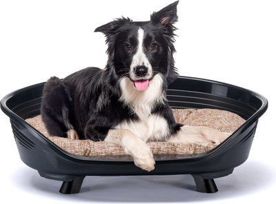 Лежанка для животных Ferplast Throne 8 / 70108017