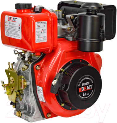 Двигатель дизельный Brait BR300D - фото