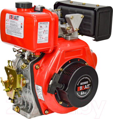 Двигатель дизельный Brait BR300DE - фото